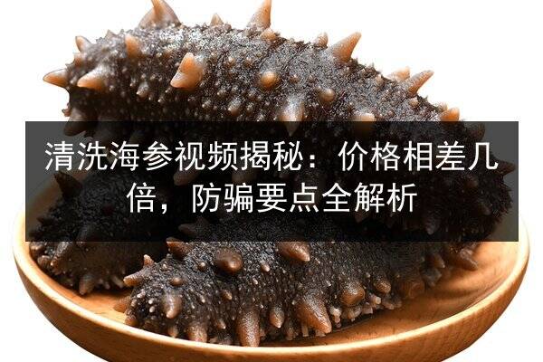 清洗海参视频揭秘：价格相差几倍，防骗要点全解析