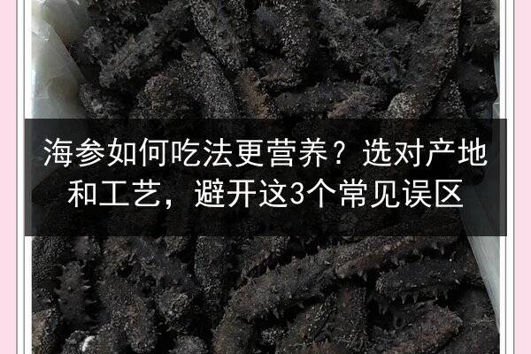 海参如何吃法更营养？选对产地和工艺，避开这3个常见误区