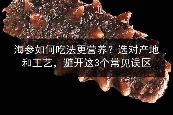 海参如何吃法更营养？选对产地和工艺，避开这3个常见误区