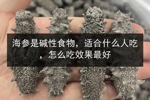 海参是碱性食物，适合什么人吃，怎么吃效果最好