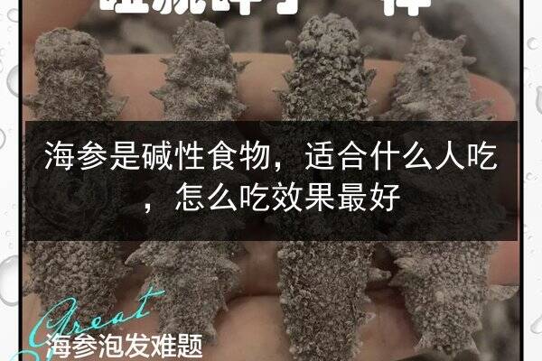 海参是碱性食物，适合什么人吃，怎么吃效果最好
