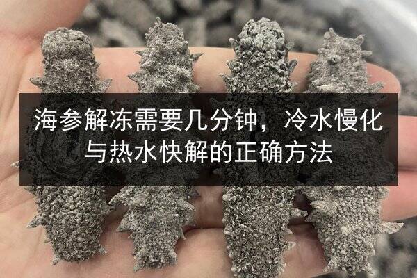 海参解冻需要几分钟，冷水慢化与热水快解的正确方法