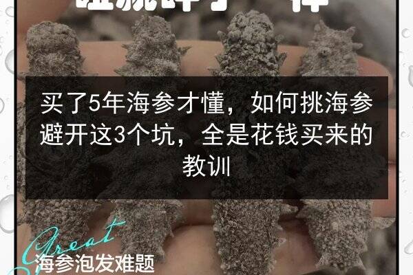 买了5年海参才懂,如何挑海参避开这3个坑,全是花钱买来的教训