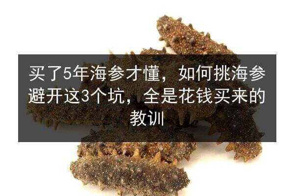 买了5年海参才懂,如何挑海参避开这3个坑,全是花钱买来的教训