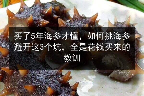 买了5年海参才懂,如何挑海参避开这3个坑,全是花钱买来的教训