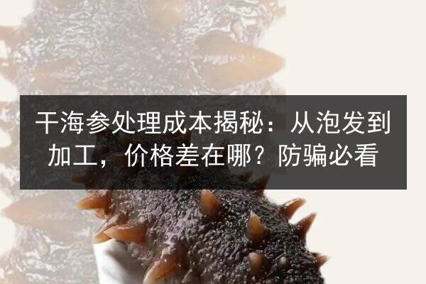 干海参处理成本揭秘:从泡发到加工,价格差在哪?防骗必看