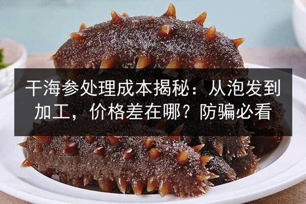 干海参处理成本揭秘:从泡发到加工,价格差在哪?防骗必看