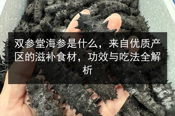 双参堂海参是什么,来自优质产区的滋补食材,功效与吃法全解析