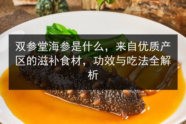 双参堂海参是什么,来自优质产区的滋补食材,功效与吃法全解析
