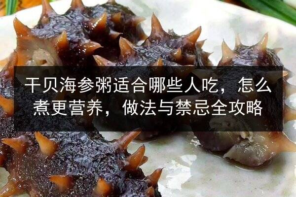 干贝海参粥适合哪些人吃，怎么煮更营养，做法与禁忌全攻略