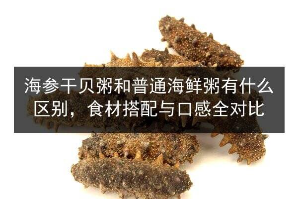 海参干贝粥和普通海鲜粥有什么区别,食材搭配与口感全对比
