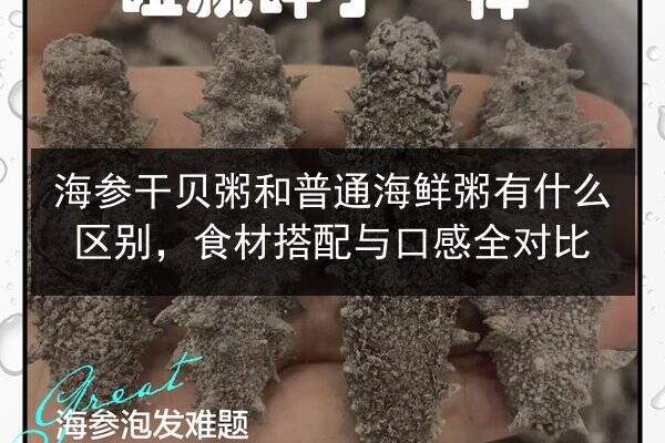 海参干贝粥和普通海鲜粥有什么区别,食材搭配与口感全对比