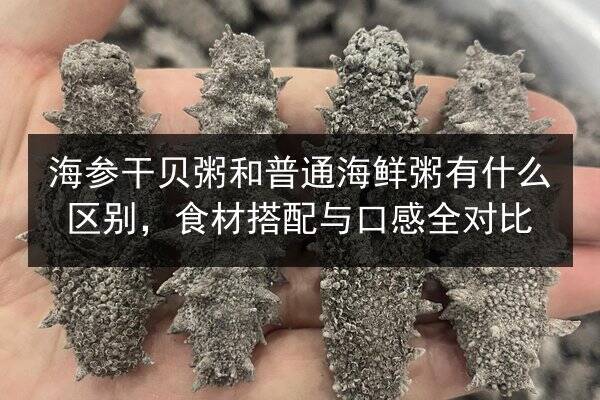 海参干贝粥和普通海鲜粥有什么区别,食材搭配与口感全对比