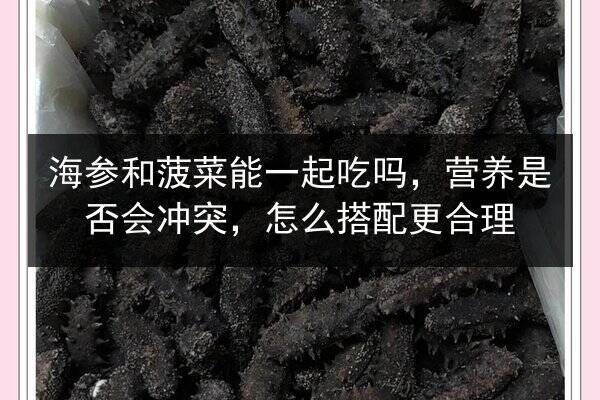 海参和菠菜能一起吃吗,营养是否会冲突,怎么搭配更合理