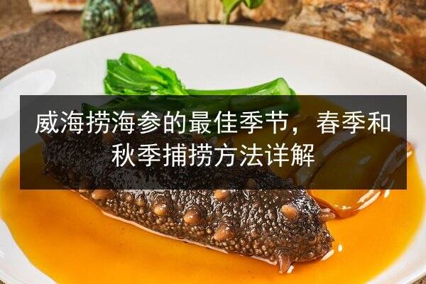 威海捞海参的最佳季节,春季和秋季捕捞方法详解