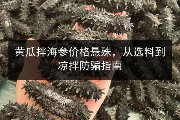 黄瓜拌海参价格悬殊,从选料到凉拌防骗指南