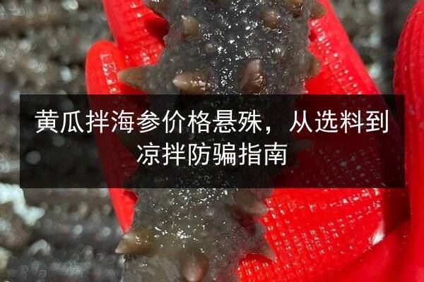黄瓜拌海参价格悬殊,从选料到凉拌防骗指南