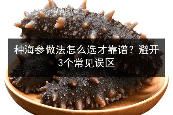 种海参做法怎么选才靠谱？避开3个常见误区
