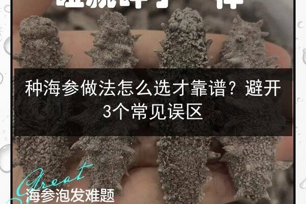 种海参做法怎么选才靠谱？避开3个常见误区