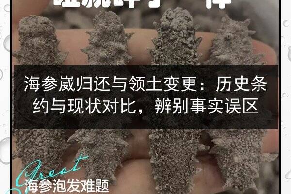 海参崴归还与领土变更:历史条约与现状对比,辨别事实误区