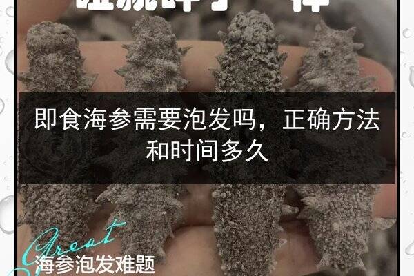 即食海参需要泡发吗,正确方法和时间多久