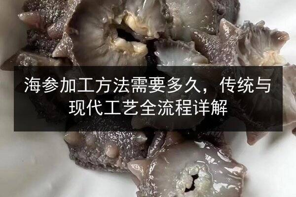 海参加工方法需要多久,传统与现代工艺全流程详解