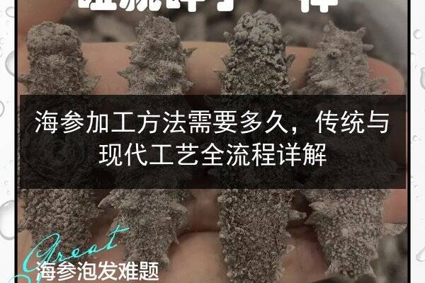 海参加工方法需要多久,传统与现代工艺全流程详解