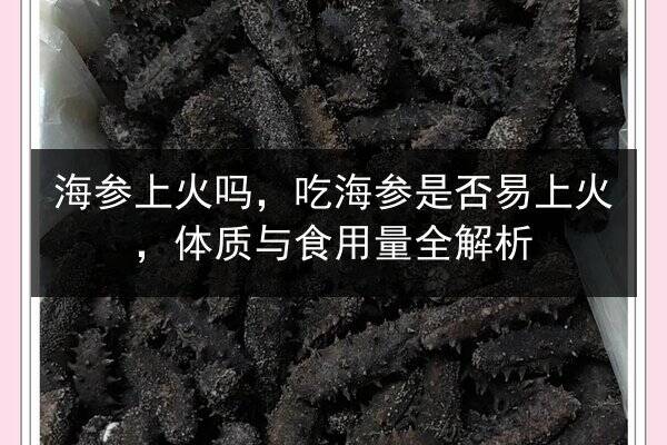 海参上火吗,吃海参是否易上火,体质与食用量全解析