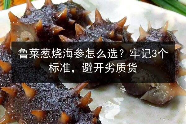 鲁菜葱烧海参怎么选?牢记3个标准,避开劣质货