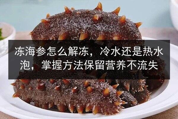 冻海参怎么解冻,冷水还是热水泡,掌握方法保留营养不流失
