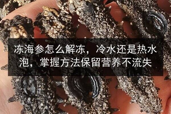 冻海参怎么解冻,冷水还是热水泡,掌握方法保留营养不流失
