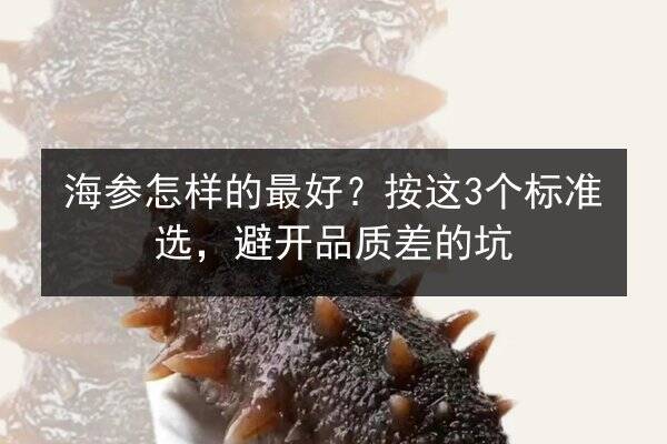 海参怎样的最好?按这3个标准选,避开品质差的坑