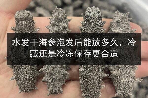 水发干海参泡发后能放多久,冷藏还是冷冻保存更合适