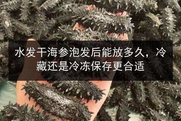 水发干海参泡发后能放多久,冷藏还是冷冻保存更合适