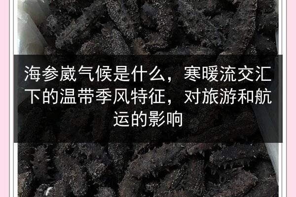 海参崴气候是什么，寒暖流交汇下的温带季风特征，对旅游和航运的影响