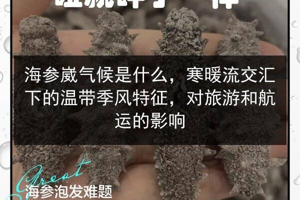 海参崴气候是什么，寒暖流交汇下的温带季风特征，对旅游和航运的影响