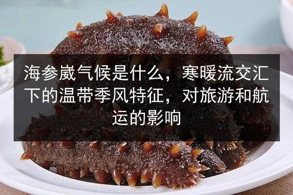 海参崴气候是什么，寒暖流交汇下的温带季风特征，对旅游和航运的影响
