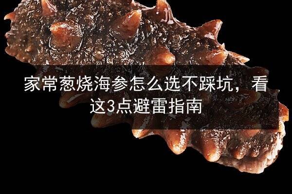 家常葱烧海参怎么选不踩坑,看这3点避雷指南