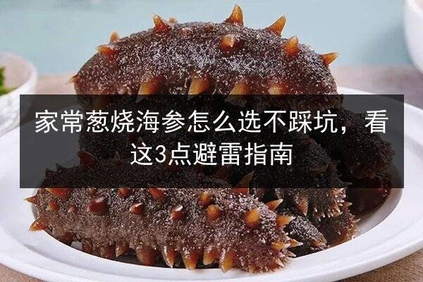 家常葱烧海参怎么选不踩坑,看这3点避雷指南