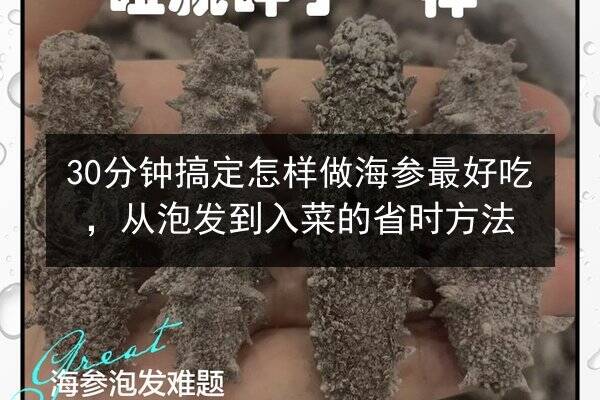 30分钟搞定怎样做海参最好吃,从泡发到入菜的省时方法