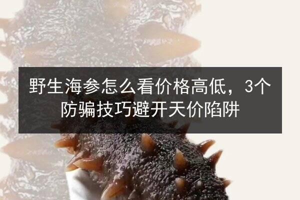 野生海参怎么看价格高低，3个防骗技巧避开天价陷阱