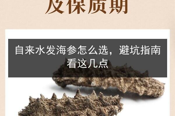 自来水发海参怎么选，避坑指南看这几点