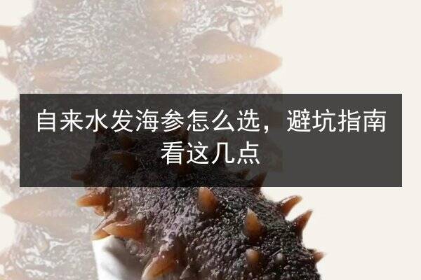 自来水发海参怎么选，避坑指南看这几点