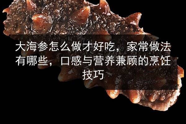 大海参怎么做才好吃,家常做法有哪些,口感与营养兼顾的烹饪技巧