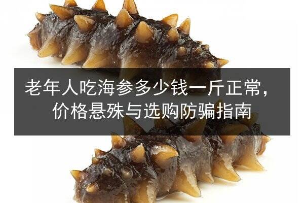 老年人吃海参多少钱一斤正常，价格悬殊与选购防骗指南