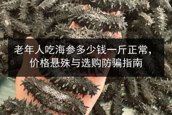 老年人吃海参多少钱一斤正常，价格悬殊与选购防骗指南