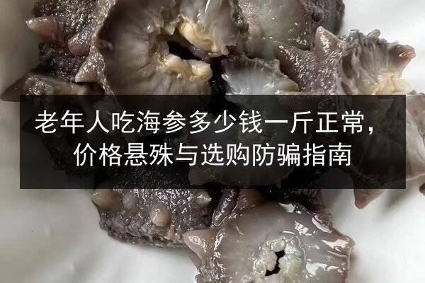 老年人吃海参多少钱一斤正常，价格悬殊与选购防骗指南