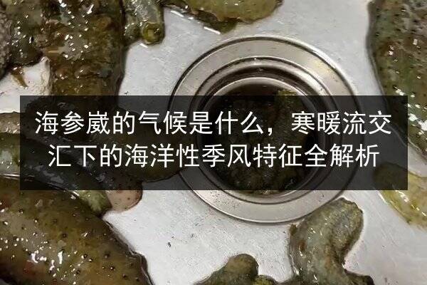 海参崴的气候是什么，寒暖流交汇下的海洋性季风特征全解析