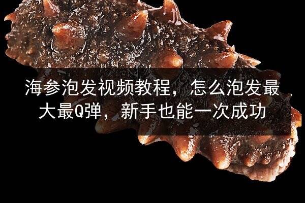 海参泡发视频教程,怎么泡发最大最Q弹,新手也能一次成功