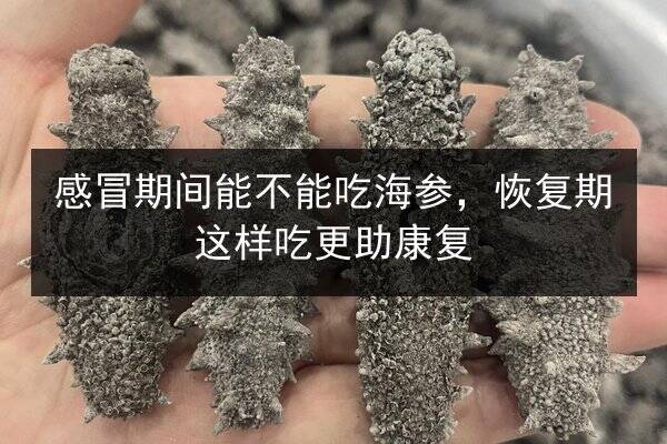 感冒期间能不能吃海参,恢复期这样吃更助康复